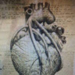 Meet your Posher, 415eryn